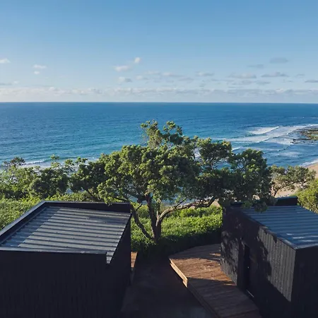 Bonjour Sauvage Jean De Luz *