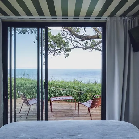 Bonjour Sauvage Jean De Luz *