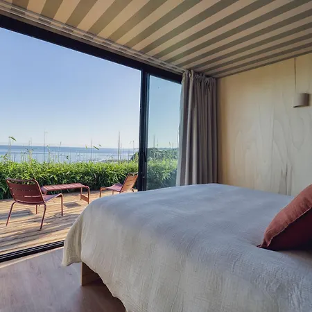 Bonjour Sauvage Jean De Luz Campeggio *
