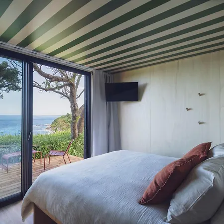 Bonjour Sauvage Jean De Luz *