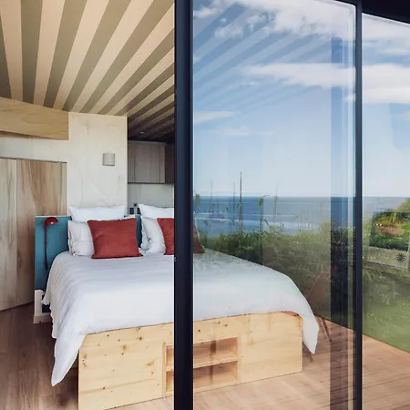 Bonjour Sauvage Jean De Luz Campeggio *
